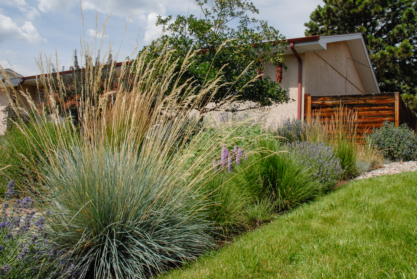 Southwest Spin Xeriscape